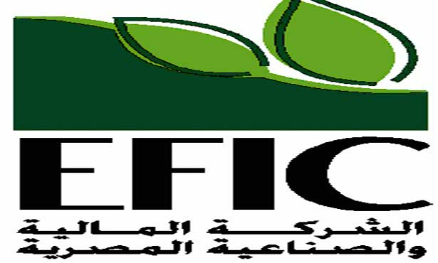 الشركة المالية والصناعية المصرية ش.م.م (اي اف اي سي)