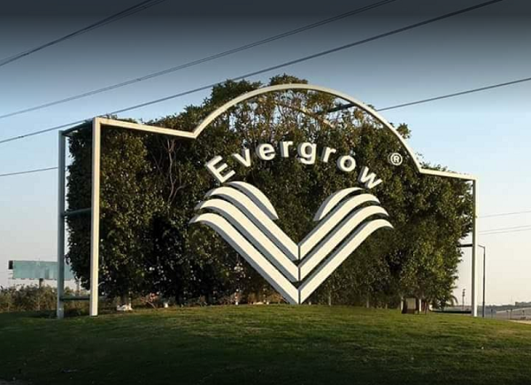 شركة ايفرجرو للاسمدة المتخصصة