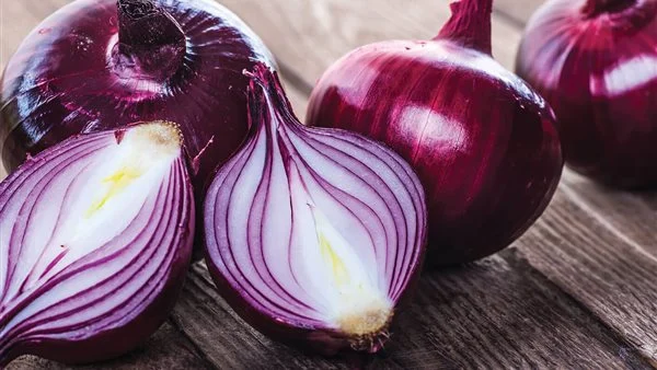 هيوصل 10 جنيه | مفاجأة بشأن البصل والسكر بعد قرار وقف التصدير.. وهذا السر وراء ارتفاع الأسعار