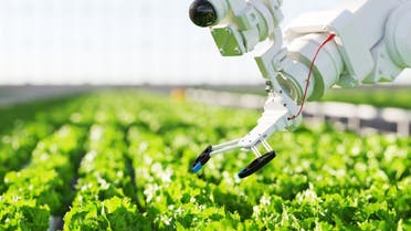 التحالف السعودي للتقنيات الزراعية" منصة لتحقيق الأمن الغذائي ومواجهة التحديات